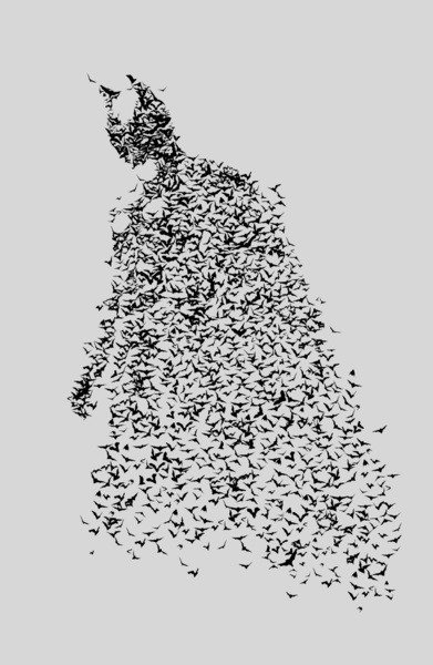 Two Tone The Dark Knight